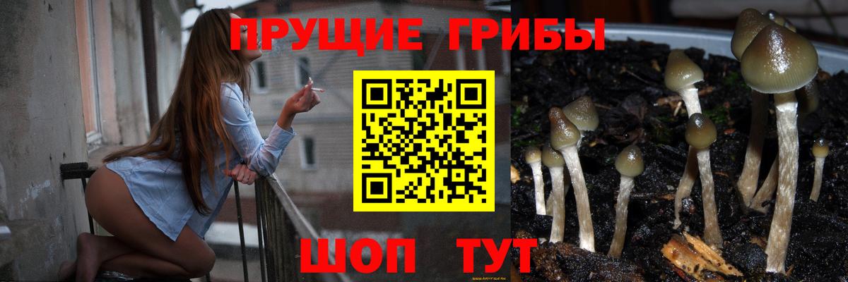 Ковров  Галлюциногенные грибы прущие грибы  Вход с VPN  Галлюциногенные грибы Cubensis 